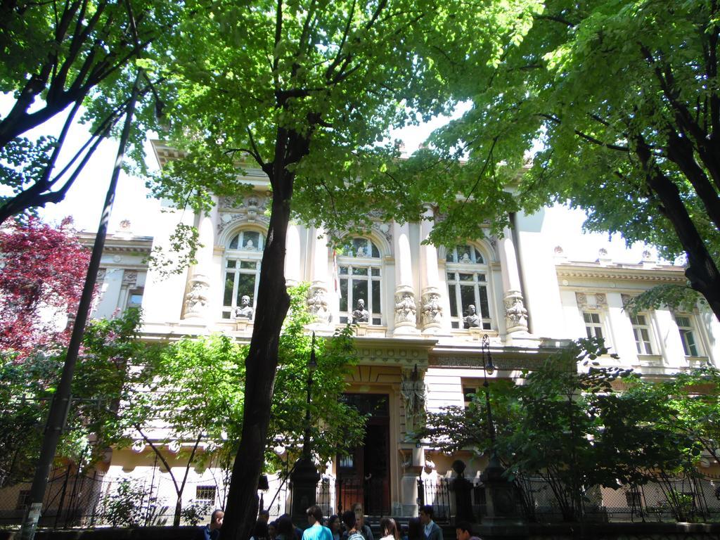 Apartment Vracar Belgrad Pokój zdjęcie