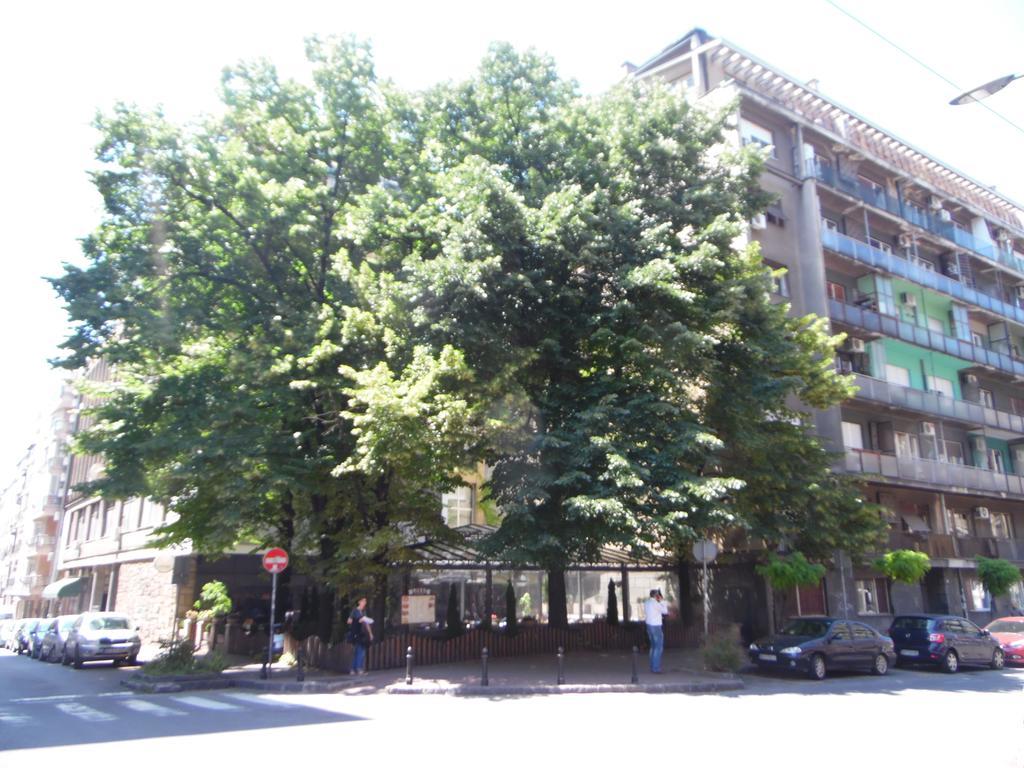 Apartment Vracar Belgrad Zewnętrze zdjęcie