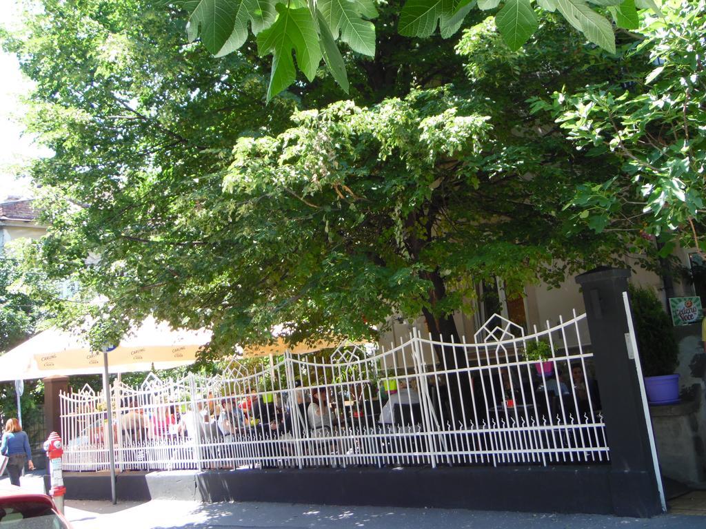 Apartment Vracar Belgrad Pokój zdjęcie