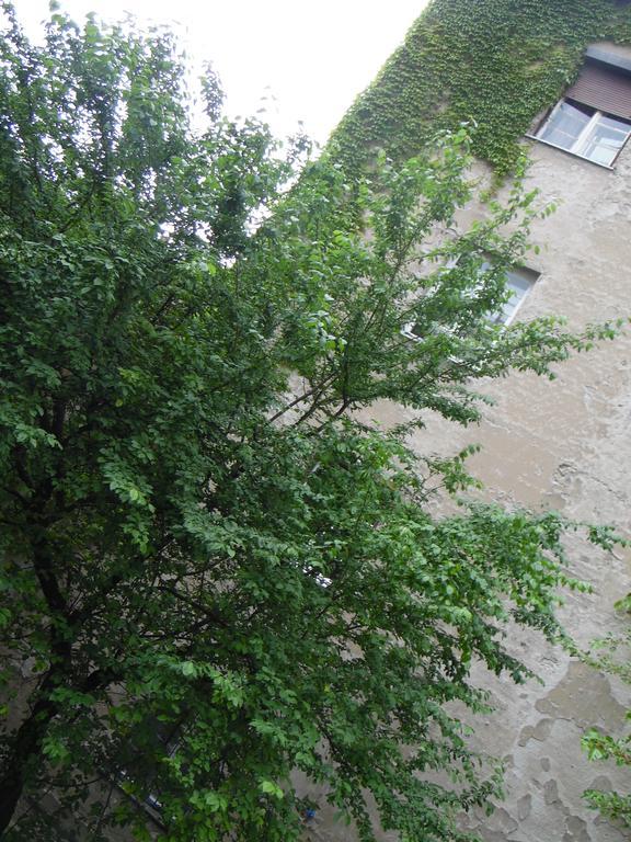 Apartment Vracar Belgrad Zewnętrze zdjęcie