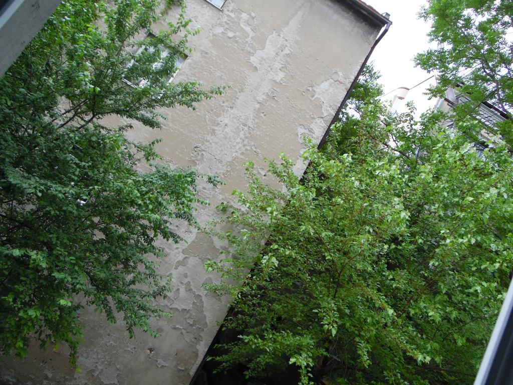 Apartment Vracar Belgrad Zewnętrze zdjęcie