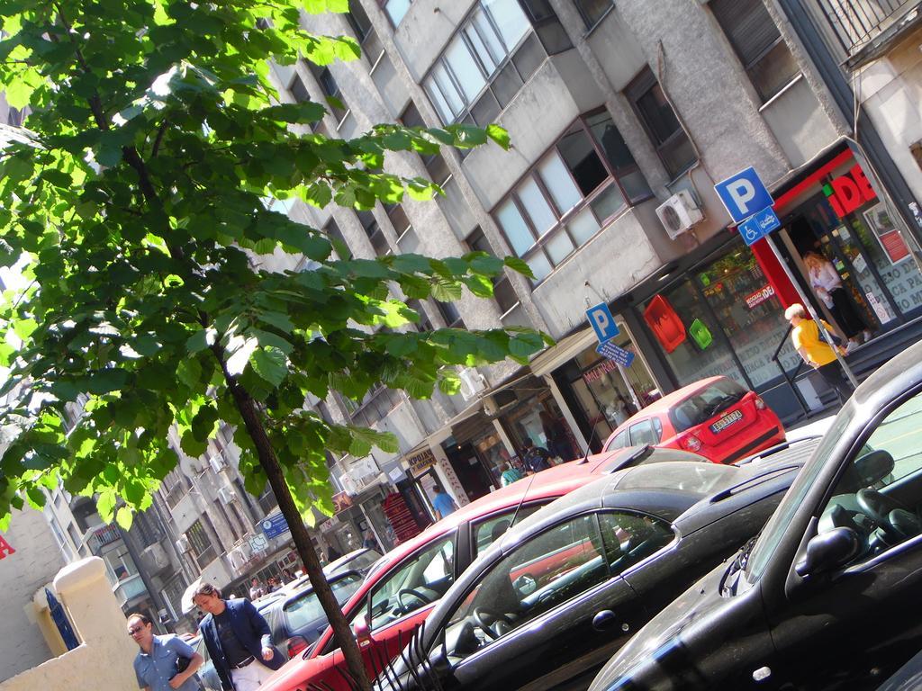 Apartment Vracar Belgrad Zewnętrze zdjęcie
